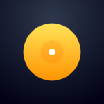 Djay DJ App & AI Mixer