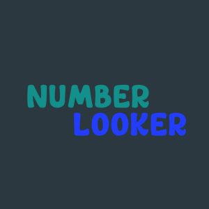 Number Looker IPA MOD (Free purchase)