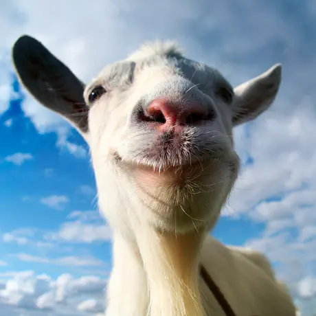 Goat Simulator Pocket Edition