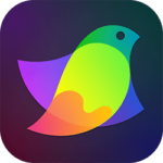 Amadine Vector Design Art