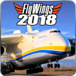 FlyWings 2018 Flight Simulator