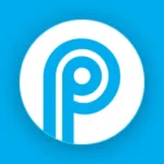 arallel Space ‒ Dual Accounts