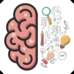 Brain Games Logic Puzzles