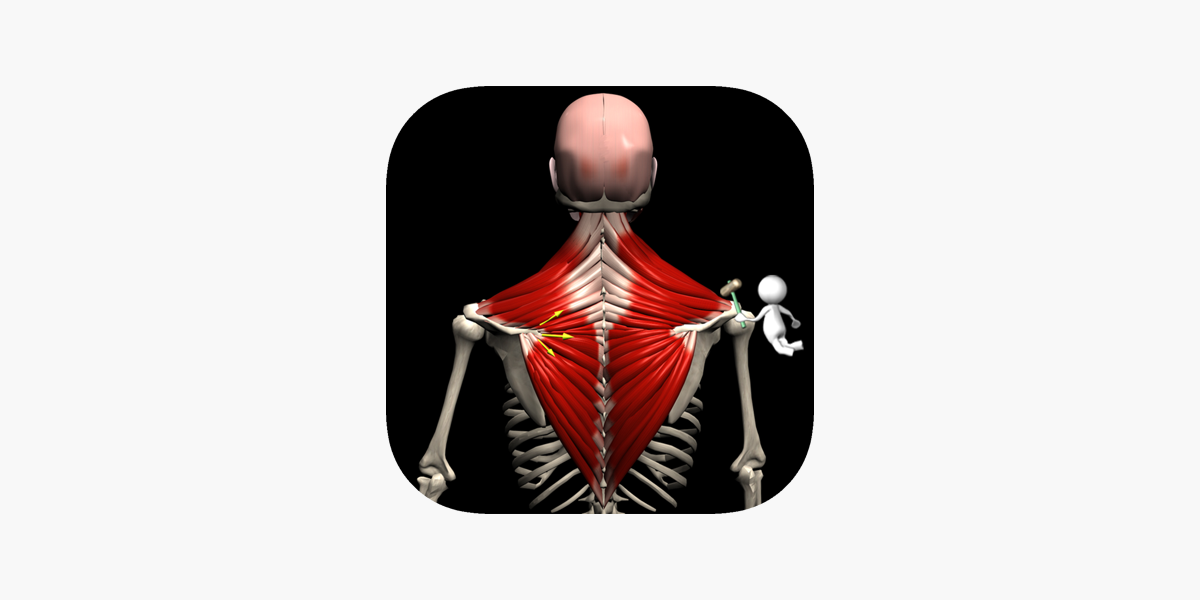 Anatomy by Muscle & Motion ipa