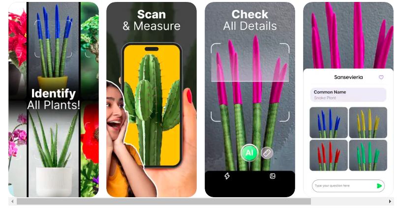 Plant Pic Identifier ipa