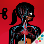 The Human Body by Tinybop