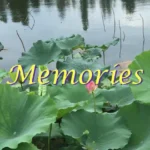 Memories Photo Widget