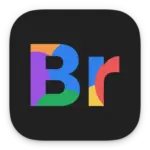 Daily Planner Schedule: Brite