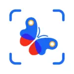 Picture Insect Bug Identifier