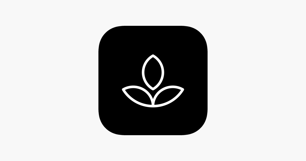 Emphasis: Flow & Focus Timer