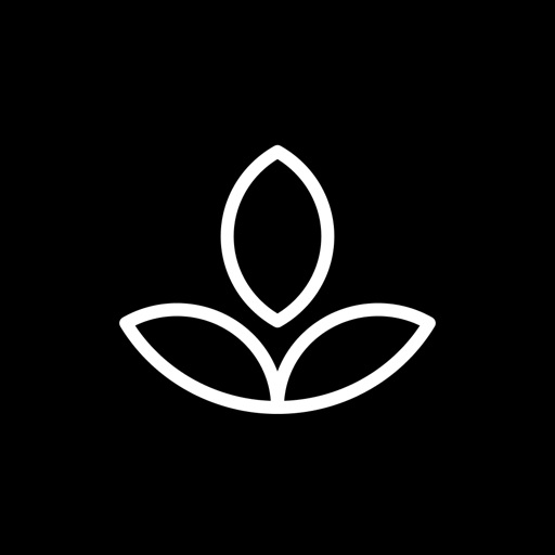 Emphasis: Flow & Focus Timer