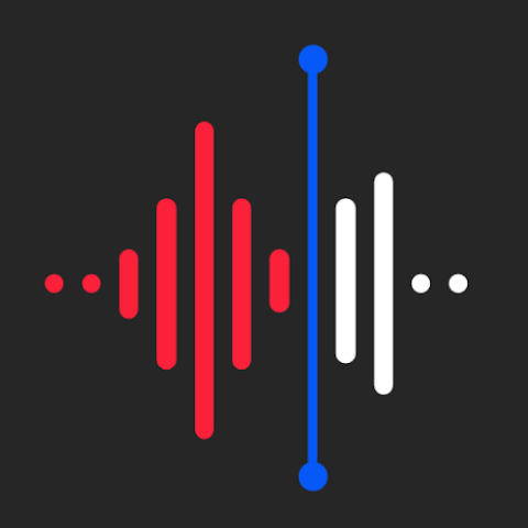Voice Recorder AI Notes: Spiik IPA